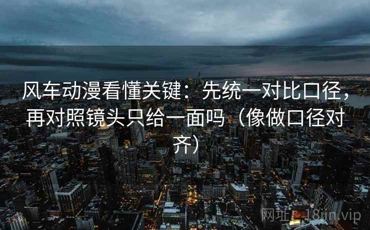 风车动漫看懂关键：先统一对比口径，再对照镜头只给一面吗（像做口径对齐）